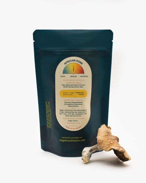 African Kobe Mushroom - Image 2