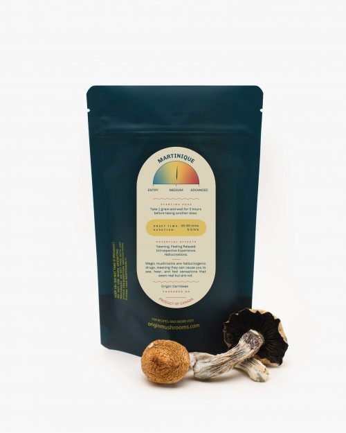 Vietnamese Mushroom - Image 2