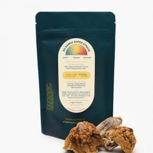 Golden Teacher Mushroom