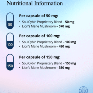 Brain Booster – “Mental Mastery”