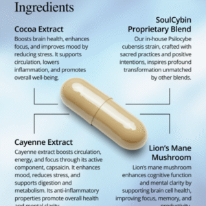 Brain Booster Plus – “Think Fast”