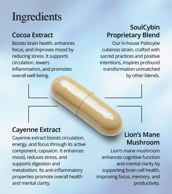 Brain Booster Plus – “Think Fast” - Image 2