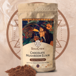 Chocolate Mushroom Elixir – “Sacred Heart Delight”