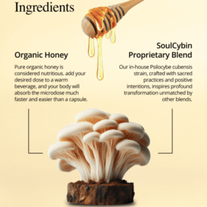 Medicinal Honey – “The Sweetness of Life”